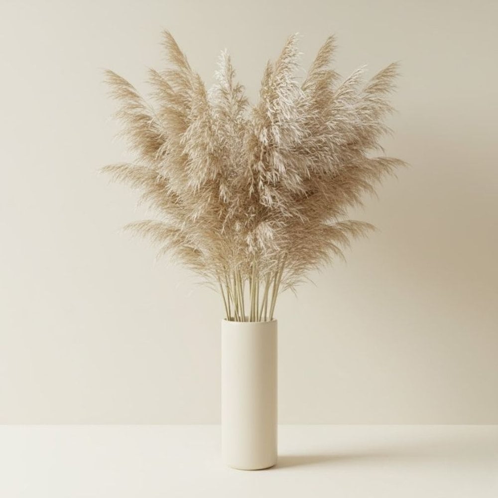 Miscanthus Grass