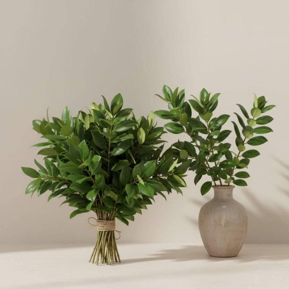 Salal Leaves